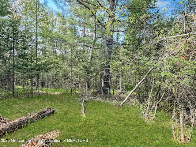 2623 Timberlane Trl, Grayling, MI 49738 - view of grassy yard