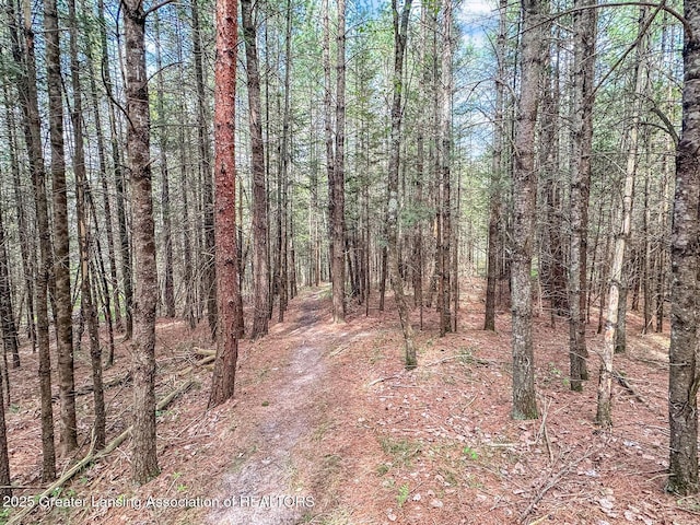 2623 Timberlane Trl, Grayling, MI 49738 - view of woods