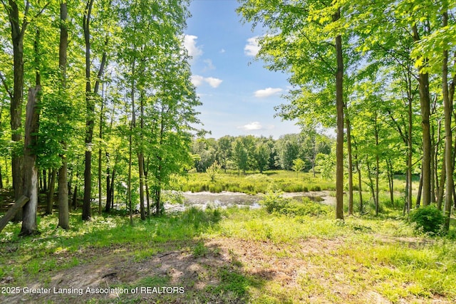 248 Gale Rd, Mason, MI 48854 - view of woods