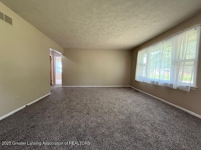 207 Wight St Unit 209, Elsie, MI 48831 - carpeted spare room with a textured ceiling and baseboards
