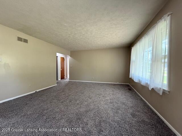 207 Wight St Unit 209, Elsie, MI 48831 - carpeted empty room with a textured ceiling and baseboards