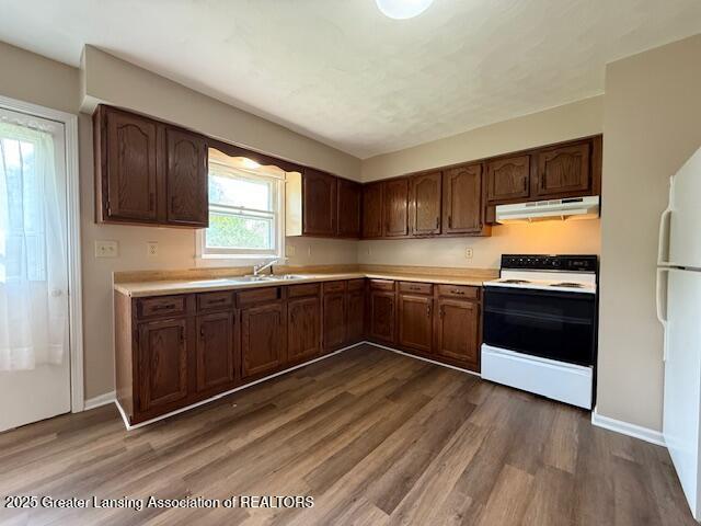 207 Wight St Unit 209, Elsie, MI 48831 - kitchen featuring white appliances, under cabinet range hood, dark wood-style floors, light countertops, and a sink