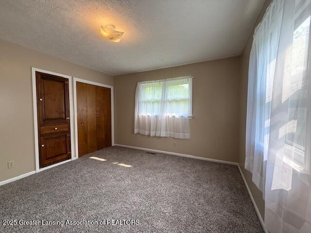 207 Wight St Unit 209, Elsie, MI 48831 - unfurnished bedroom with carpet flooring, a textured ceiling, and baseboards