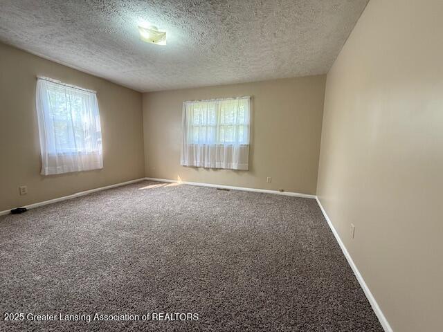 207 Wight St Unit 209, Elsie, MI 48831 - unfurnished room featuring plenty of natural light, a textured ceiling, carpet floors, and baseboards