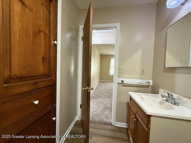 207 Wight St Unit 209, Elsie, MI 48831 - bathroom featuring vanity, wood finished floors, and baseboards