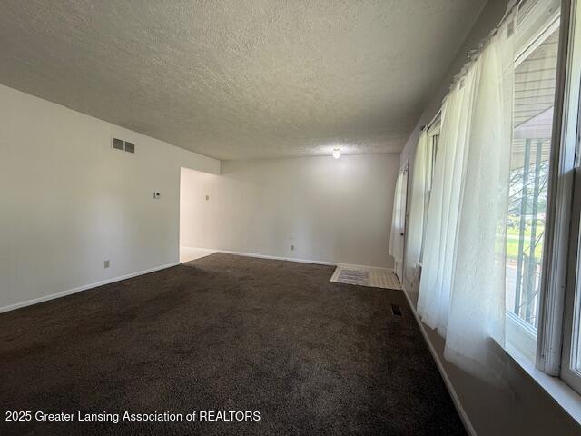 207 Wight St Unit 209, Elsie, MI 48831 - carpeted spare room featuring a textured ceiling and baseboards
