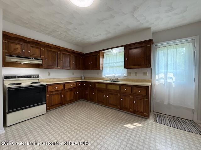 207 Wight St Unit 209, Elsie, MI 48831 - kitchen featuring white electric stove, under cabinet range hood, light countertops, light flooring, and dark brown cabinetry