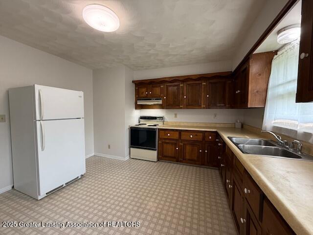 207 Wight St Unit 209, Elsie, MI 48831 - kitchen with white appliances, a sink, under cabinet range hood, light countertops, and light flooring