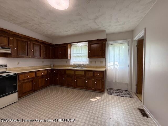 207 Wight St Unit 209, Elsie, MI 48831 - kitchen with white range with electric cooktop, range hood, light countertops, light floors, and a sink