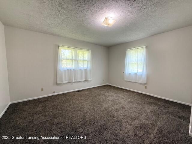 207 Wight St Unit 209, Elsie, MI 48831 - empty room featuring dark colored carpet, a textured ceiling, and baseboards