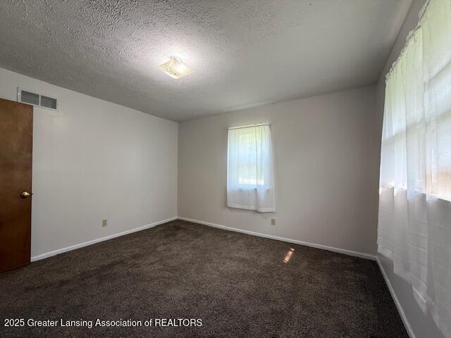 207 Wight St Unit 209, Elsie, MI 48831 - unfurnished room with dark colored carpet, a textured ceiling, and baseboards