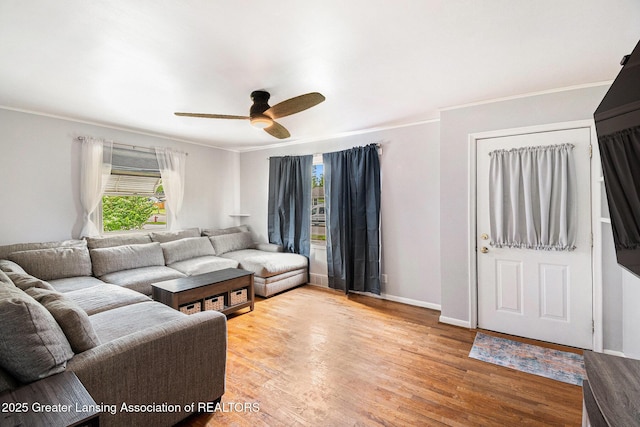 4415 Devonshire Ave, Lansing, MI 48910 - living area with ornamental molding, a ceiling fan, light wood-style flooring, and baseboards