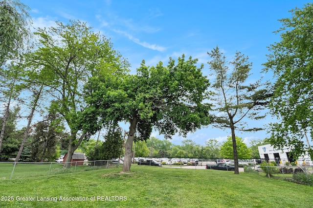4415 Devonshire Ave, Lansing, MI 48910 - view of yard