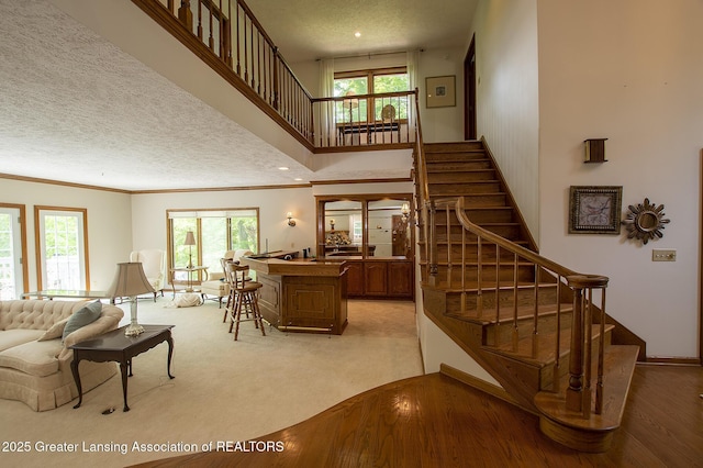 11781 W Herbison Rd, Eagle, MI 48822 - living area with stairway, a textured ceiling, ornamental molding, light colored carpet, and a towering ceiling