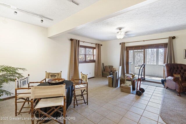 11781 W Herbison Rd, Eagle, MI 48822 - dining space featuring a textured ceiling, light tile patterned flooring, rail lighting, ceiling fan, and baseboards