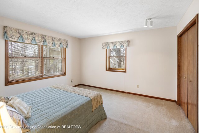 11781 W Herbison Rd, Eagle, MI 48822 - bedroom with multiple windows, light colored carpet, a closet, baseboards, and a textured ceiling