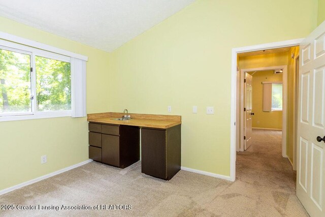 4964 Mohawk Rd, Okemos, MI 48864 - photo 23
