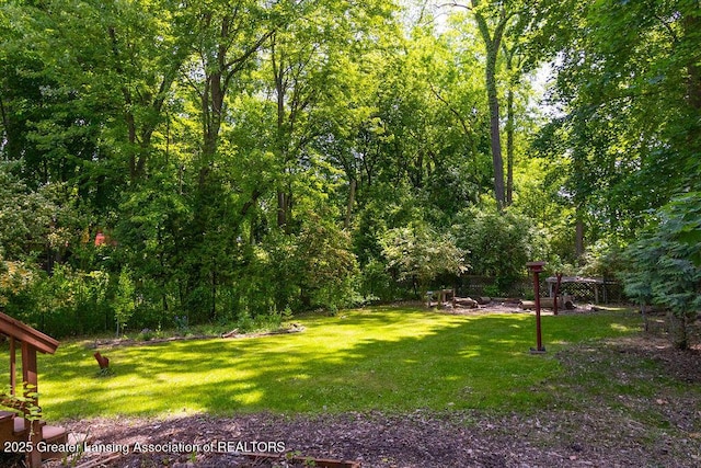 4964 Mohawk Rd, Okemos, MI 48864 - photo 33