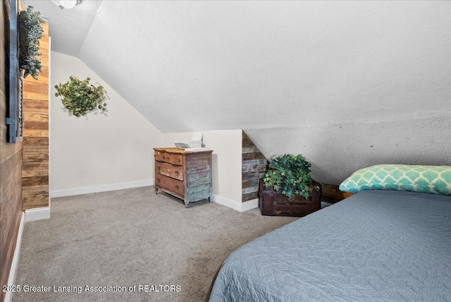 424 N Morrice Rd, Morrice, MI 48857 - bedroom featuring vaulted ceiling, a textured ceiling, baseboards, and carpet floors