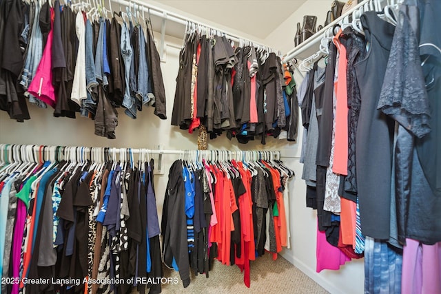 5619 Bittern Dr, Holt, MI 48842 - spacious closet featuring carpet
