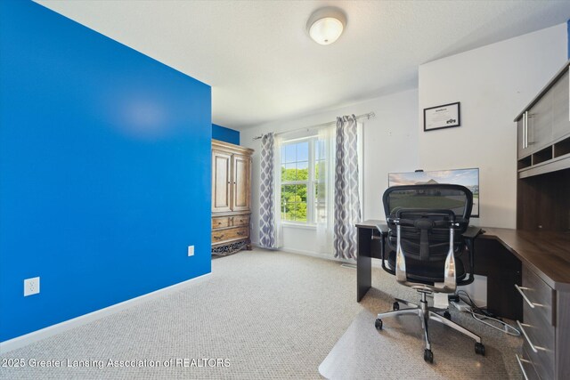 5619 Bittern Dr, Holt, MI 48842 - office space featuring carpet floors and baseboards