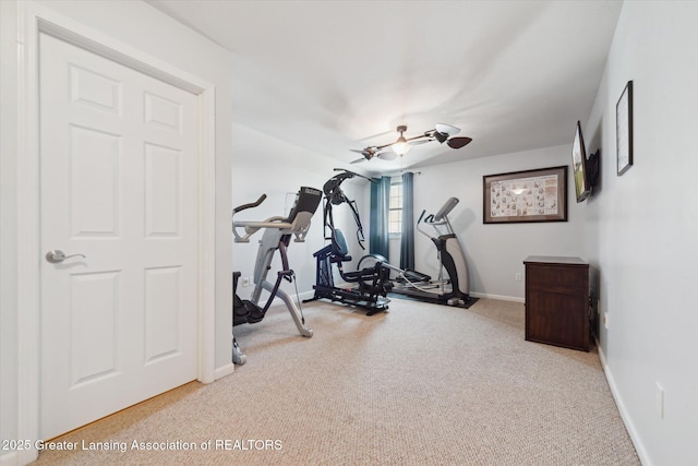 5619 Bittern Dr, Holt, MI 48842 - workout area featuring baseboards and carpet flooring