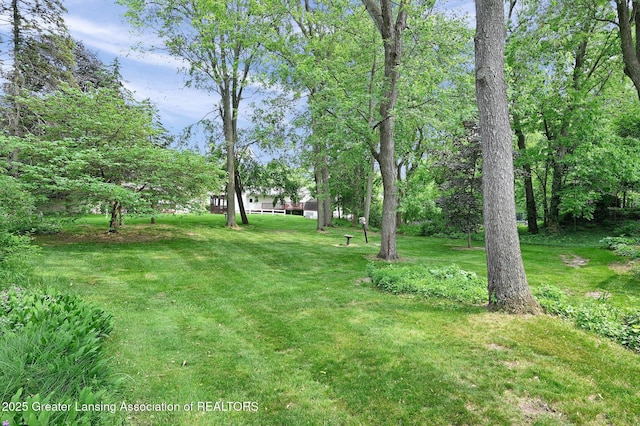 1936 Heatherton Dr, Holt, MI 48842 - photo 40
