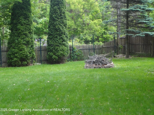 14311 Chandler Rd, Bath, MI 48808 - view of yard