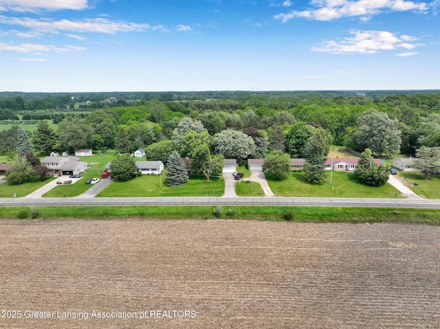14311 Chandler Rd, Bath, MI 48808 - bird's eye view of a heavily wooded area