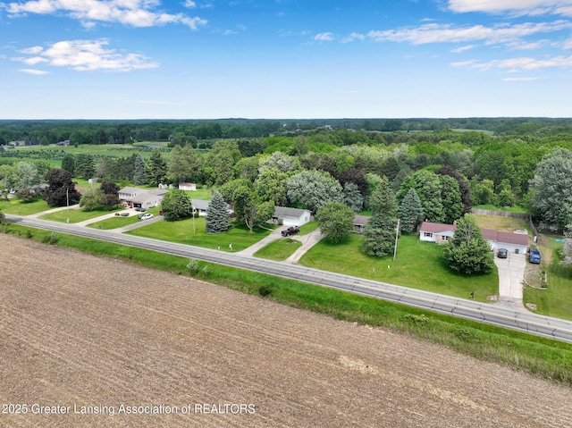 14311 Chandler Rd, Bath, MI 48808 - bird's eye view