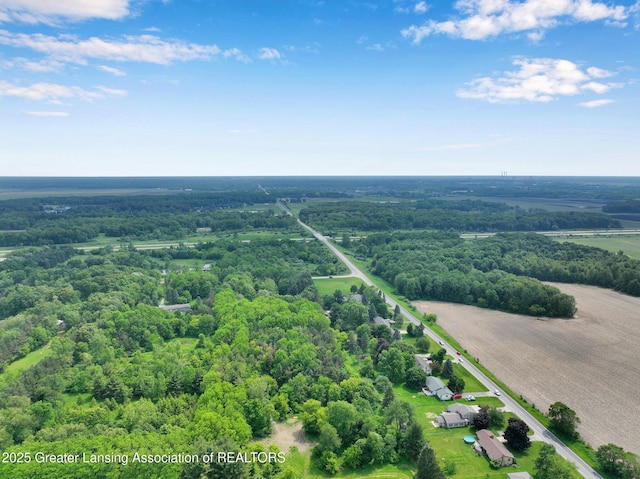14311 Chandler Rd, Bath, MI 48808 - drone / aerial view of a heavily wooded area