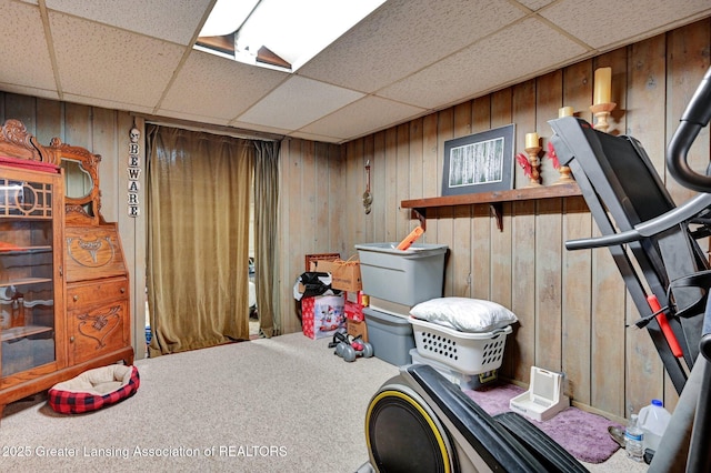 14311 Chandler Rd, Bath, MI 48808 - finished below grade area with carpet flooring, wood walls, and a drop ceiling