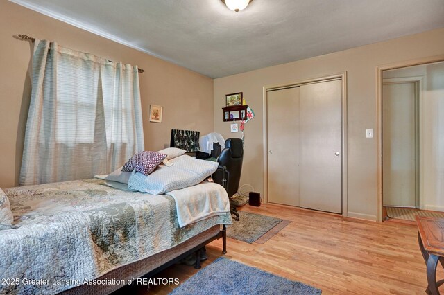 14311 Chandler Rd, Bath, MI 48808 - bedroom with light wood-style flooring and a closet