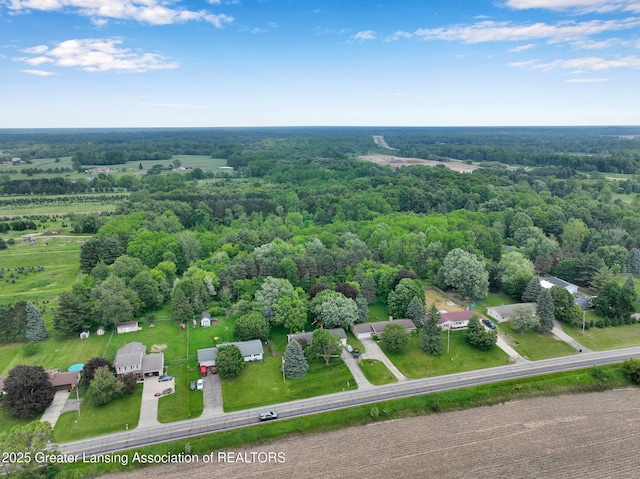 14311 Chandler Rd, Bath, MI 48808 - aerial view of a heavily wooded area