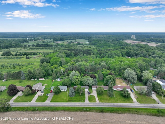 14311 Chandler Rd, Bath, MI 48808 - drone / aerial view