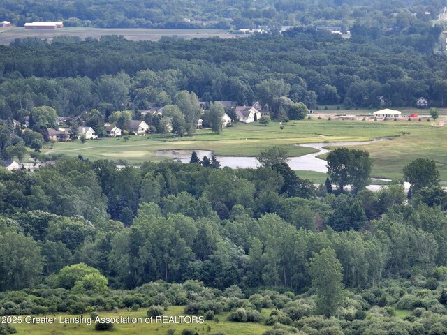 14311 Chandler Rd, Bath, MI 48808 - drone / aerial view of a forest