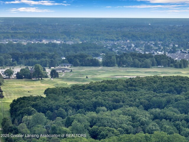14311 Chandler Rd, Bath, MI 48808 - drone / aerial view of a forest