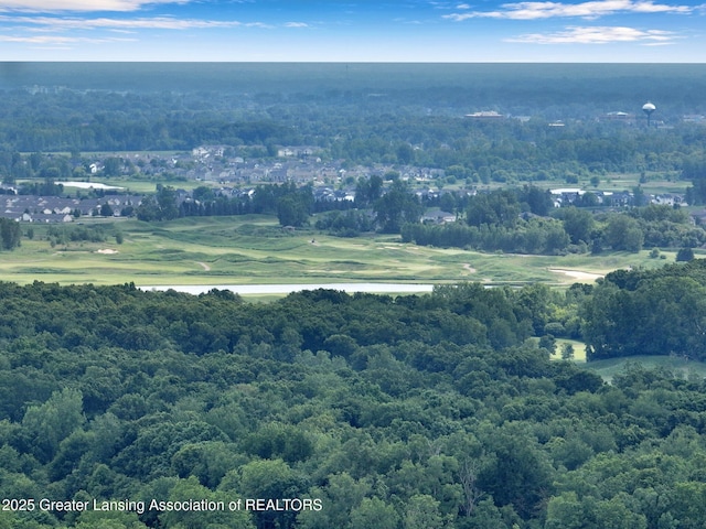 14311 Chandler Rd, Bath, MI 48808 - bird's eye view of a heavily wooded area and a large body of water