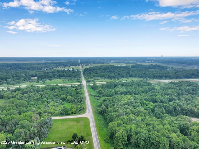 14311 Chandler Rd, Bath, MI 48808 - drone / aerial view of a heavily wooded area