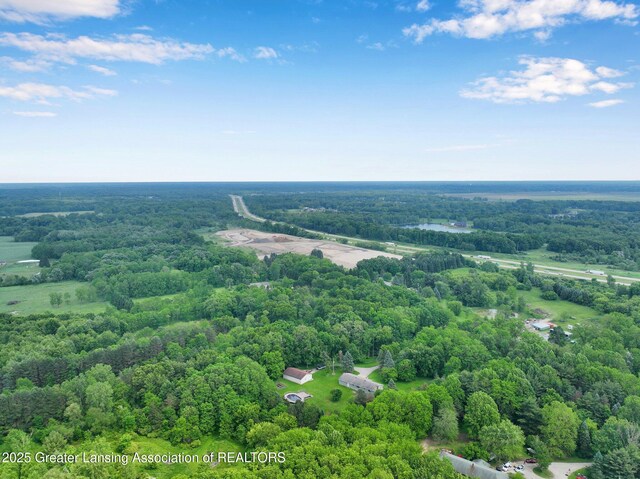 14311 Chandler Rd, Bath, MI 48808 - aerial view of a forest