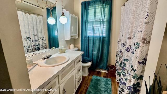884 SE Andover Ct, Kentwood, MI 49508 - bathroom featuring wood finished floors, vanity, and a shower with shower curtain