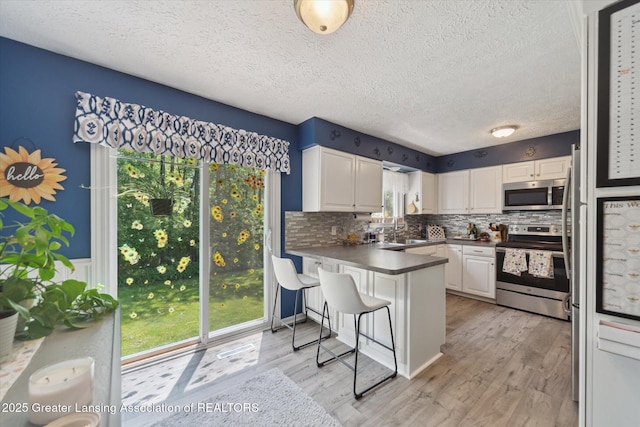 2500 Champion Way, Lansing, MI 48910 - kitchen with stainless steel appliances, healthy amount of natural light, a peninsula, white cabinets, and a textured ceiling