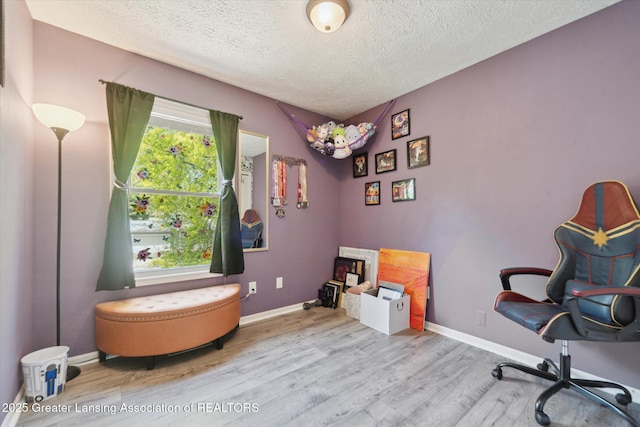 2500 Champion Way, Lansing, MI 48910 - office area featuring wood finished floors, a textured ceiling, and baseboards