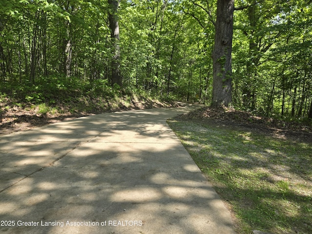 4423 Hyatt St, Eaton Rapids, MI 48827 - view of street with a wooded view