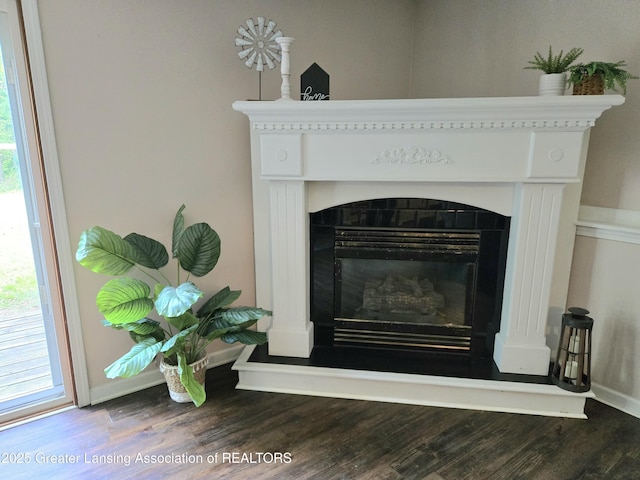 4423 Hyatt St, Eaton Rapids, MI 48827 - detailed view of wood finished floors, a fireplace with raised hearth, and baseboards