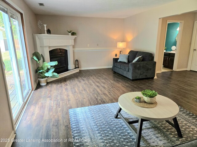 4423 Hyatt St, Eaton Rapids, MI 48827 - living room with wood finished floors, a glass covered fireplace, and baseboards