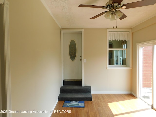 1305 May St, Lansing, MI 48906 - doorway to property featuring ceiling fan