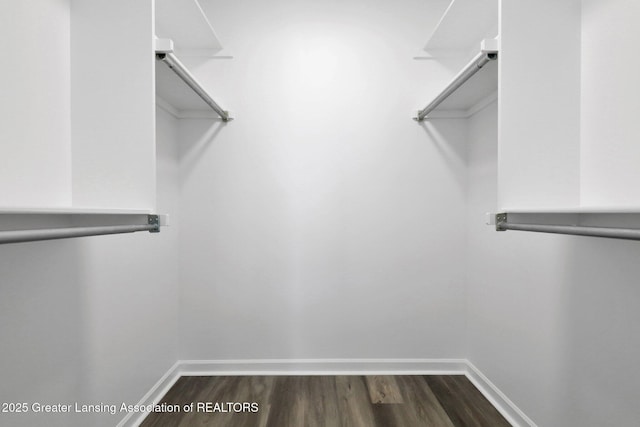 4003 Norfolk Ct, Lansing, MI 48910 - spacious closet with dark wood-style floors