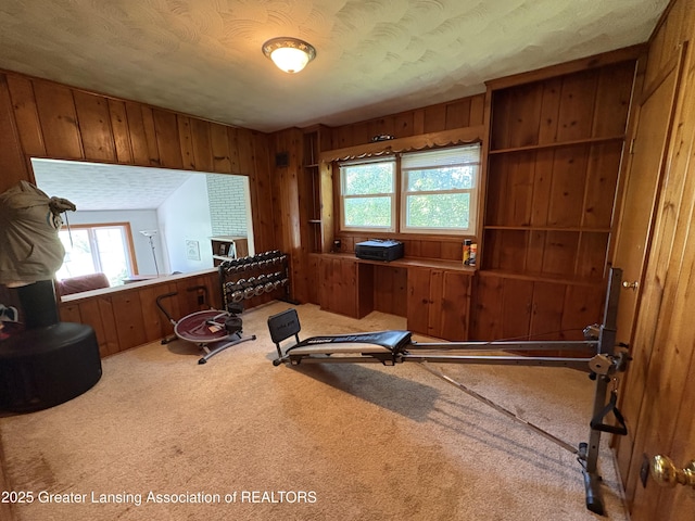 1064 W Shepherd St, Charlotte, MI 48813 - workout room with carpet floors, healthy amount of natural light, and wooden walls