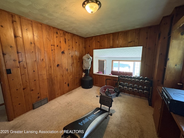 1064 W Shepherd St, Charlotte, MI 48813 - exercise area featuring carpet and wooden walls